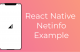 React Native Netinfo Example